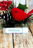 Mistletoe lip balm | Mistletoe scented | Christmas scented lip balm | Holiday lip balm | Holiday gift ideas | cheap holiday gift | lip balm