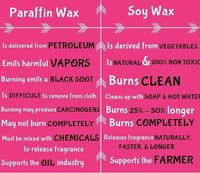 Pumpkin Apple Soy wax melts