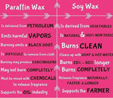 Pumpkin Apple Soy wax melts