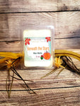 Beneath the Stars Soy Wax Melts